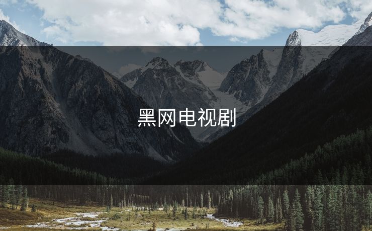 黑网电视剧 黑网电视剧