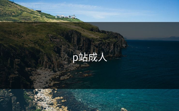 p站成人