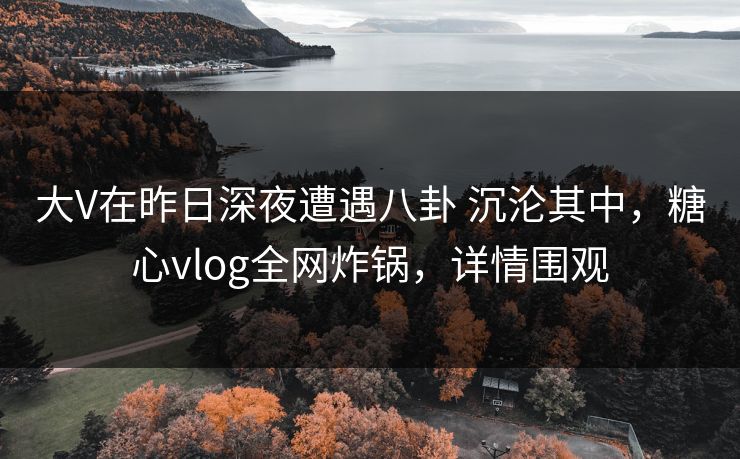 大V在昨日深夜遭遇八卦 沉沦其中，糖心vlog全网炸锅，详情围观